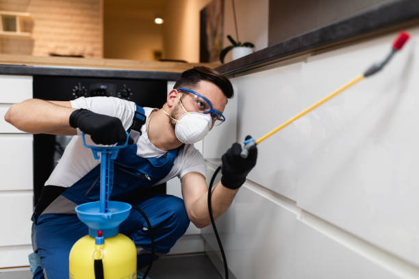 Best Emergency Pest Control  in Alamo, GA