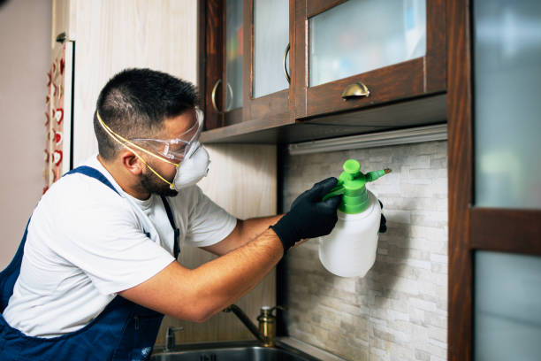 Best Termite Control Services  in Alamo, GA