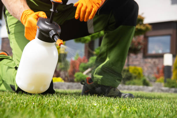 Best Best Pest Control Companies  in Alamo, GA