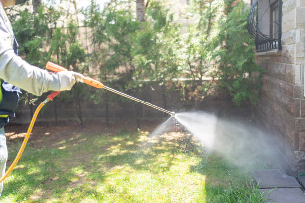 Best Ant Control Services  in Alamo, GA