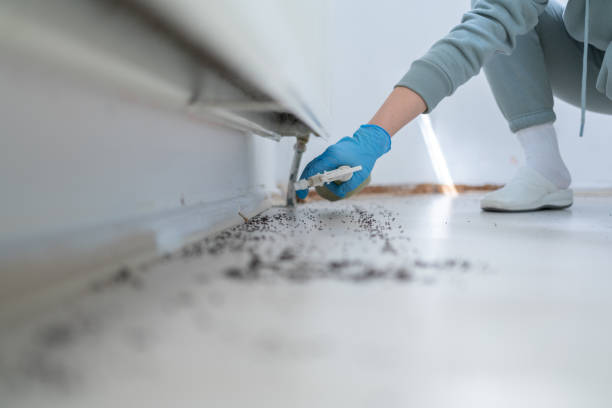 Best Mosquito Control Services  in Alamo, GA